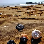 Al Mare Da Iva Caorle Appartamento Duna Verde