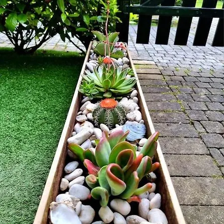 Lejlighed Al Mare Da Iva Lido Altanea Duna Verde